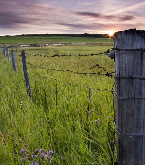 Meet your Posher, Meg