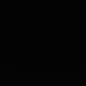 Meet your Posher, Logan