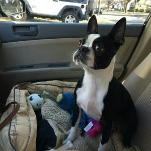 Meet your Posher, Alex