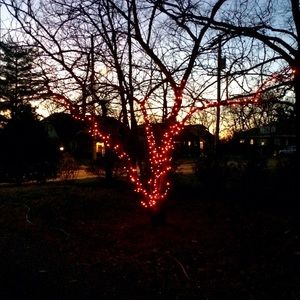 Meet your Posher, Ann