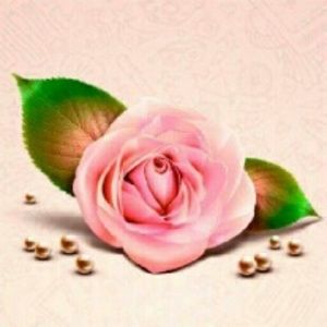 Meet your Posher, Matilde