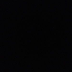 Meet your Posher, Des