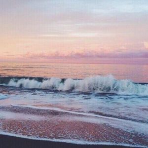 Meet your Posher, Anissa