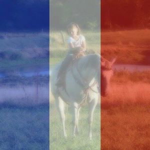 Meet your Posher, Tommie