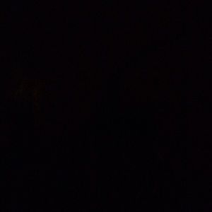 Meet your Posher, Bartley