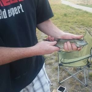 Meet your Posher, Kenny