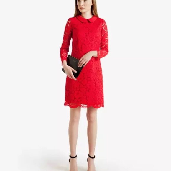 Ted Baker | Ted Baker Ameera Scallop Hem Lace Dress