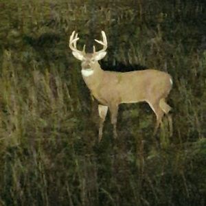 Meet your Posher, Scott