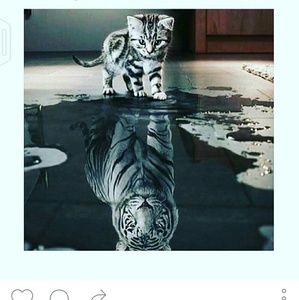 Meet your Posher, Cameron