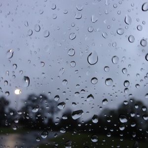 Meet your Posher, Mitchell