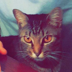 Meet your Posher, Sara