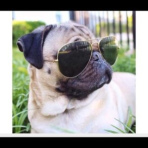 Meet your Posher, Rasmey