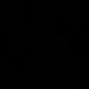 Meet your Posher, Jackson