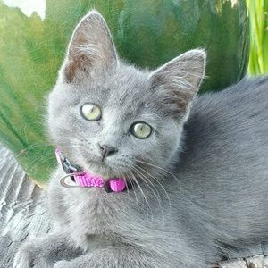 Meet your Posher, Cheryl