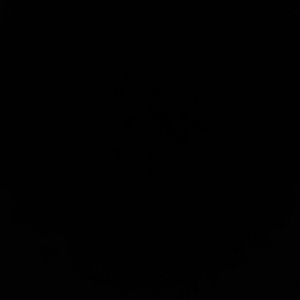 Meet your Posher, Selina