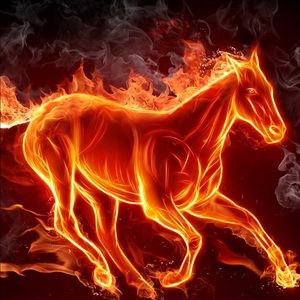 Meet your Posher, Lan