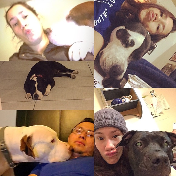 Meet your Posher, Flora ! - Picture 4 of 8