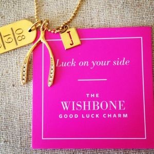 Stella & Dot wishbone charm