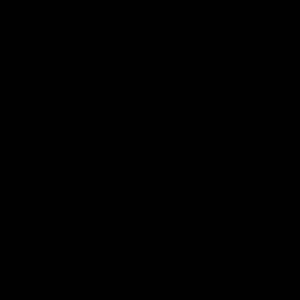 Meet your Posher, Sergio