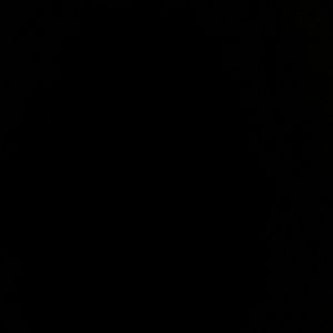 Meet your Posher, Rylee