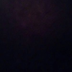 Meet your Posher, Sylvia