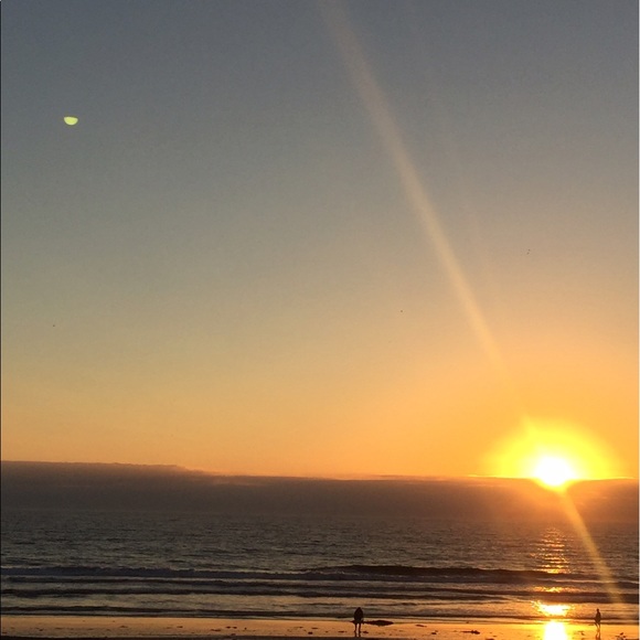 Meet your Posher, Roxanne - Picture 2 of 4