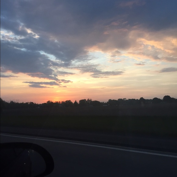 Meet your Posher, Tabitha - Picture 4 of 4