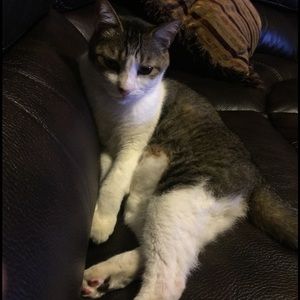 Meet your Posher, Lori