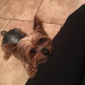 Meet your Posher, Ivette