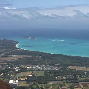 Meet your Posher, Ellen