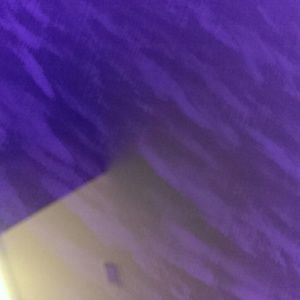 Meet your Posher, Albert