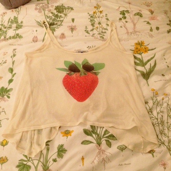 Wildfox Other - Wildfox Strawberry Coverup