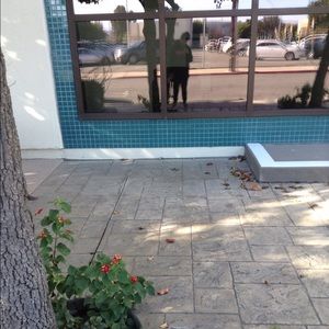 Meet your Posher, Miranda