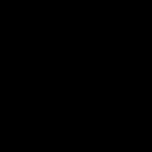 Meet your Posher, Bridget