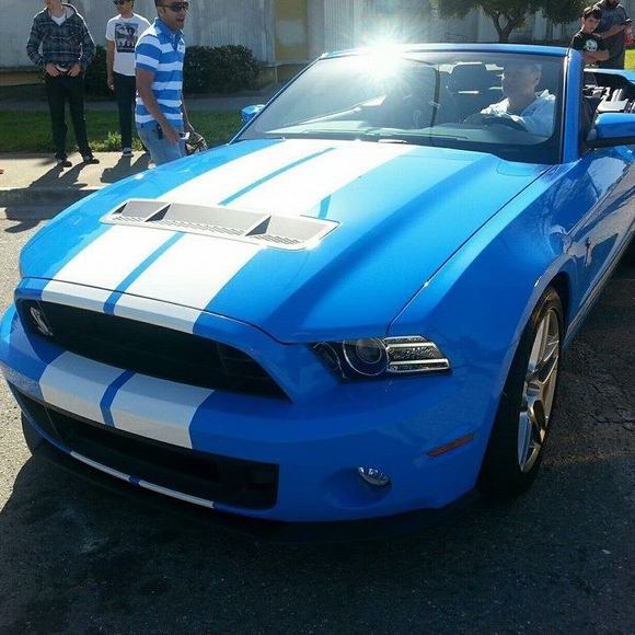 Meet your Posher, Irving - Picture 1 of 1