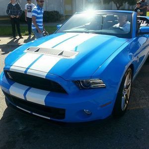 Meet your Posher, Irving