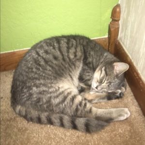 Meet your Posher, Ash