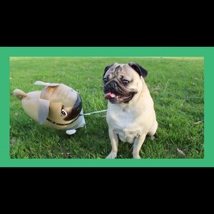 Meet your Posher, Sharon