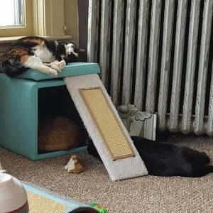 Meet your Posher, Meaghan