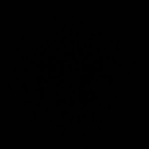 Meet your Posher, Lichie