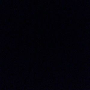 Meet your Posher, Lizzy