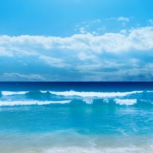 Meet your Posher, Haylie