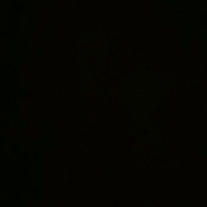 Meet your Posher, Alondra