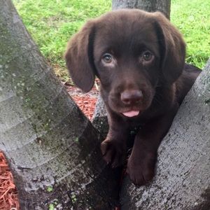 Meet your Posher, Andy