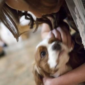 Meet your Posher, Eva