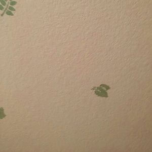 Meet your Posher, Jerry