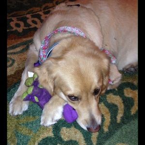 Meet your Posher, Angele