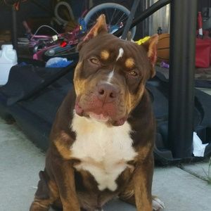 Meet your Posher, Earl