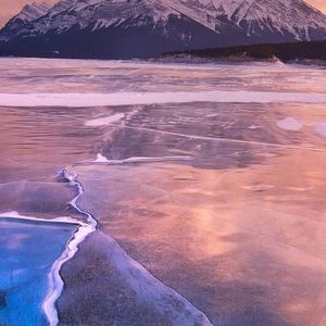 Meet your Posher, Ty