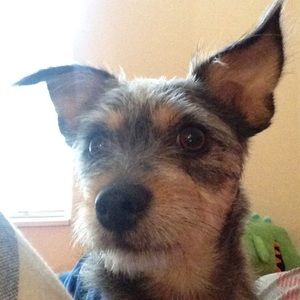 Meet your Posher, Ye t ta